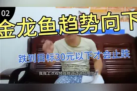 金龙鱼趋势向下再创新低 ，估值偏高，目标价在30块钱以下视频封面