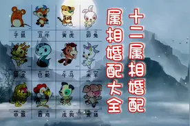 12属相婚配大全视频封面