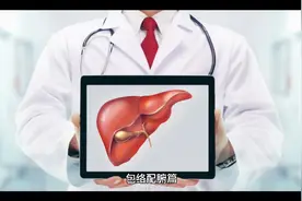 黄帝外经  肺合大肠 心合小肠  肝合胆  脾和胃 肾合膀胱。视频封面