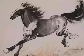 十二生肖之——🐴马的特性视频封面