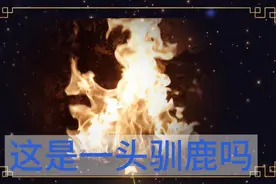 🔥火是火🔥，物非物，火苗之中有动物视频封面