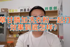 草甘膦加洗衣粉一起打，效果到底怎么样？视频封面