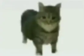 oiiaioooooiai，的各种版本视频封面