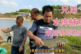 兄弟承包的水库今天捕鱼，广西农村小伙和三叔，来搞条大草鱼吃视频封面