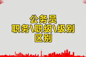 公务员的职务、职级、级别具体是怎么区分的，今天让你一次搞明白视频封面