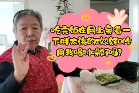 在网上察察胖大海的功效和作用我们噪子喝它行吗？试试吧！