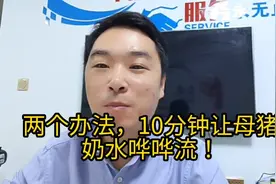 两个办法，10分钟让母猪奶水哗哗流！🤓新老朋友一定要学会！视频封面