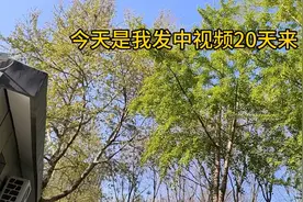 如何找到人工客服 如何删除发布失败的作品 经验分享视频封面