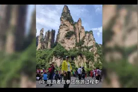 在旅游景点购买到假冒伪劣产品，旅行社是否承担责任视频封面