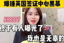 英国签证中心积压事件曝光！Cindy阿姨勾结内部黑幕，害惨了！视频封面