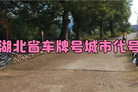 湖北省车牌是怎么排的，车牌号代表地区哪里视频封面