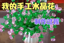我的手工水晶花制作过程，好玩有趣好开心，水晶晶波凌凌好美哟！