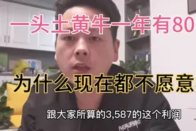 土黄牛一年有8000的利润，好多人不相信，欢子是怎么做到的视频封面