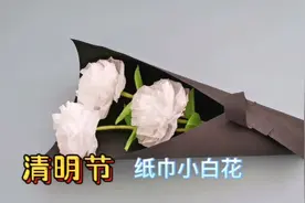清明节用纸巾做小白花！简单易学，缅怀先烈，祭奠英雄视频封面