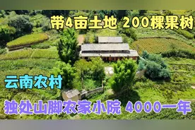 云南农家小院，带4亩土地200棵果树，环境优美，只需要4000一年！