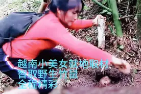 越南小美女，户外就地取材智取野生竹鼠，全程精彩。视频封面