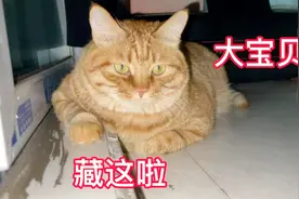 妈妈做完核酸回来就开始烫各种蔬菜冰冻上已备不时之需！视频封面