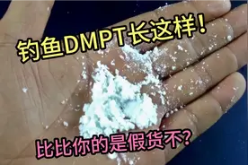钓鱼诱食剂DMPT，如果没有这些特征，大多是假货！