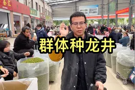 杭州的群体种龙井上市了，大鹏直接定制了150斤，有浓浓的兰花香视频封面