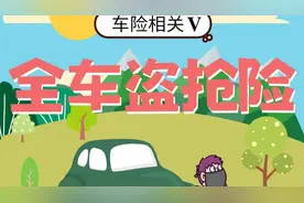 什么是全车盗抢险？