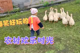叔叔家的鸡前几天丢了一只，听说今天找到了，走去看看啥情况？视频封面