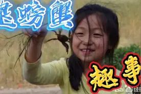 逮螃蟹趣事视频封面
