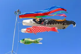 三分钟看明白鲤鱼旗的前世今生～孔子都给儿子取名为“鲤”视频封面