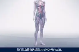 3D动画演示静脉曲张的形成过程（王炳奇医生转发）视频封面