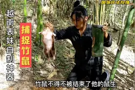 越南表妹自制神器捕捉竹鼠视频封面