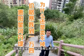 惠阳淡水星河丹堤价格跌到1.4w了，低于市场价3000多一平也卖不掉视频封面