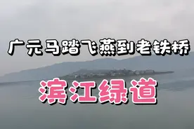 广元滨江绿道从马踏飞燕开始，经过嘉陵江三、四号大桥到达老铁桥视频封面