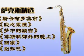 萨克斯中外名曲精选合集视频封面