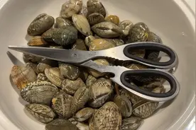 洗花蛤，切记别直接放盐洗，老渔民教我一招，花甲疯狂吐沙超干净