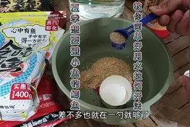 夏季想要避小鱼专钓大鲫鱼，教你简单好用水拉饵开法！视频封面