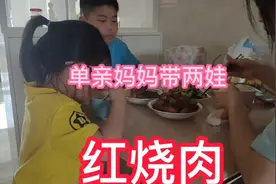 单亲妈妈带俩娃，婆婆正好送来了块五花肉，做了孩子想吃的红烧肉视频封面
