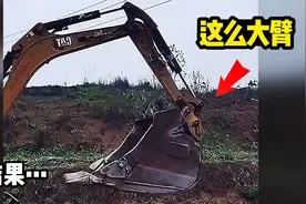 挖掘机哪家强，一个比一个牛视频封面