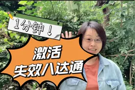香港通关，一分钟教你激活失效八达通！超级实用！视频封面