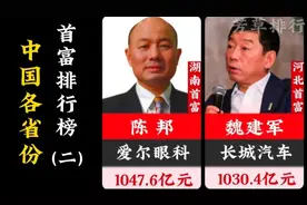 中国各省份首富排行榜，王健林稳居辽宁首富，爱尔眼科上榜视频封面