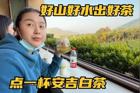 钱贝家乡浙江安吉，生态环境真的太好啦，难怪安吉白茶这么受欢迎
