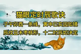 猫眼定时辰歌诀视频封面