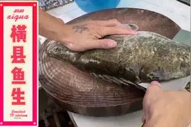 广西的非遗美食-横县鱼生，从选鱼，做法，配料都是独树一帜！