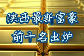 陕西省前十名，富豪名单已出炉。视频封面