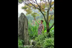 华岩寺办皈依证，拿到皈依证后在寺院里看赏荷花看美景视频封面