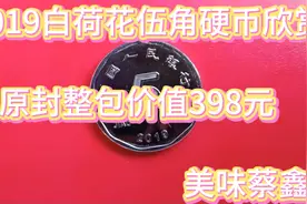 2019版白荷花伍角硬币欣赏