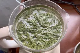 坚持用侧柏叶洗头的第二个月，有人知道它的效果吗？视频封面