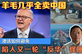 澳大利亚羊毛全卖中国，印度只买5%，如何避免陷入又一轮反华怪圈视频封面