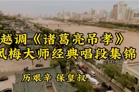 申凤梅大师 越调《诸葛亮吊孝》经典唱段合集 过瘾！视频封面