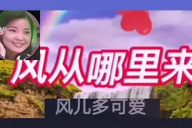 邓丽君：《风从哪里来》视频封面