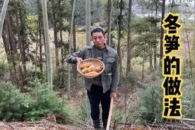 冬笋怎么炒才好吃？看看大叔这种做法，鲜嫩不苦涩，吃了还想吃视频封面