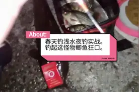 春天钓浅水夜钓实战讲解。钓起窝里大物后鲫鱼狂口。视频封面